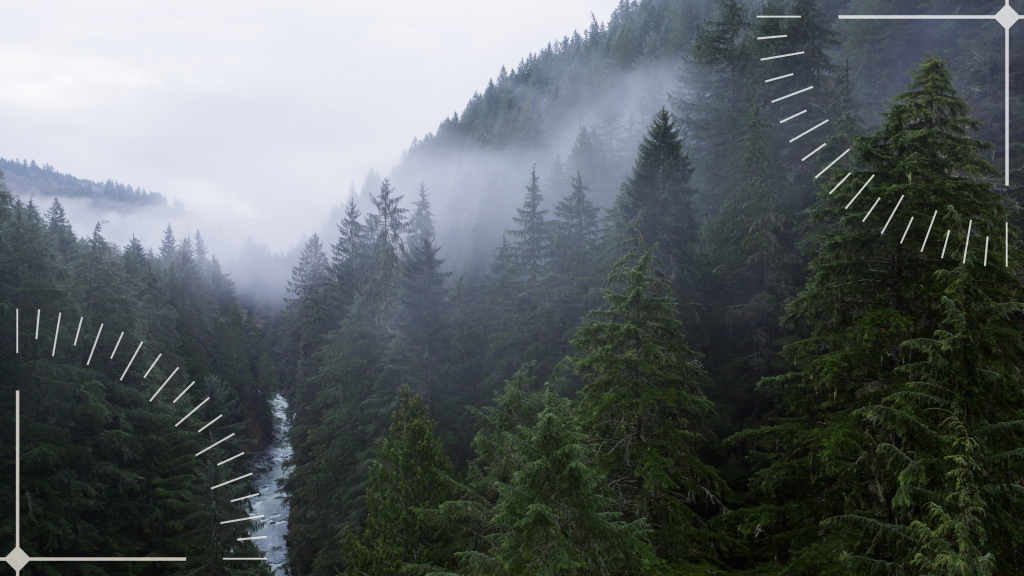 SEO Copywriting: Write Digital Content That Performs Well in Search