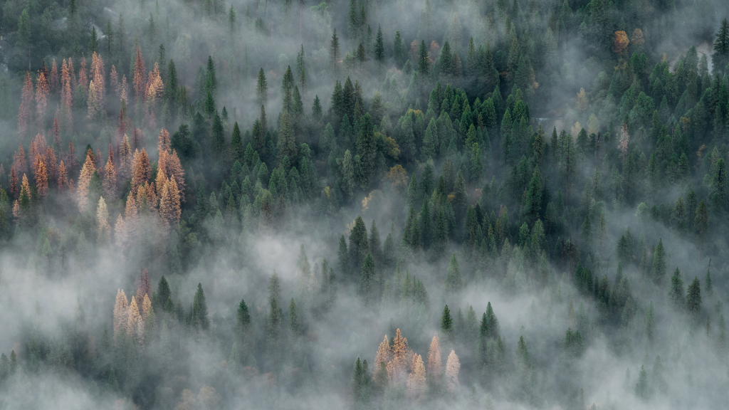 10 Things I Learned About SEO Working At Demandwell