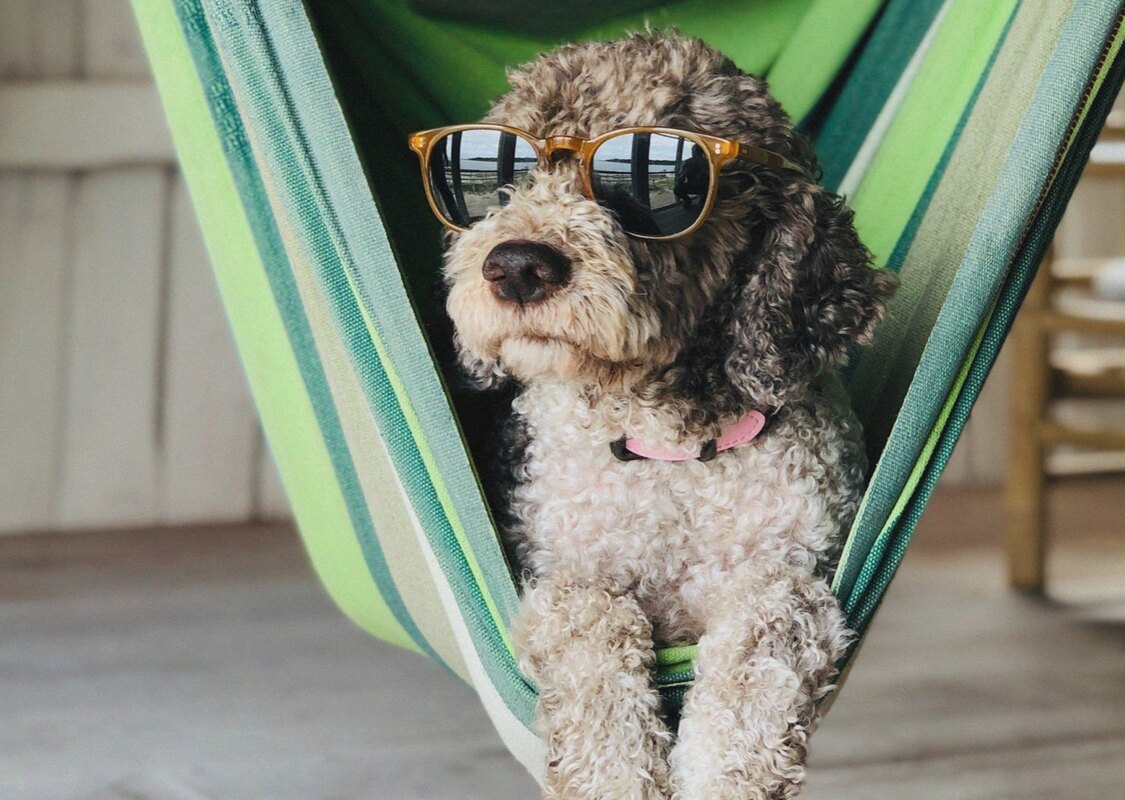 Why You Need to Chill the F*ck Out And Take a Break While Scaling Your Startup